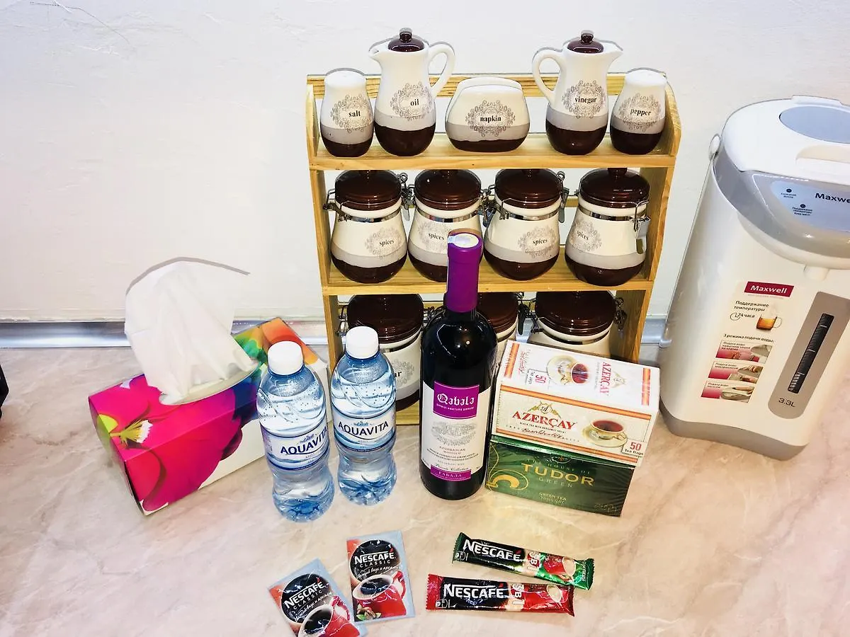 Check-In Apartment Near Fountain Square Vidadi Str Baku