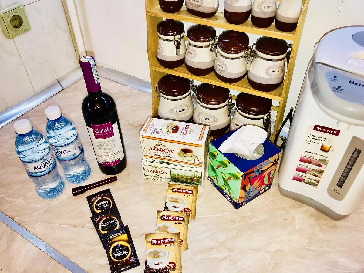 Check-In Apartment Near Fountain Square Vidadi Str Baku